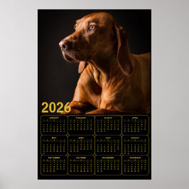 Poster Retrato de Labrador Retriever com Calendário de 20
