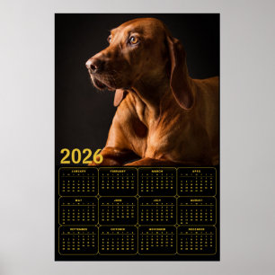 Poster Retrato de Labrador Retriever com Calendário de 20