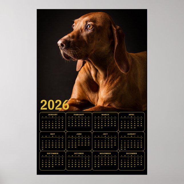 Poster Retrato de Labrador Retriever com Calendário de 20 (Frente)
