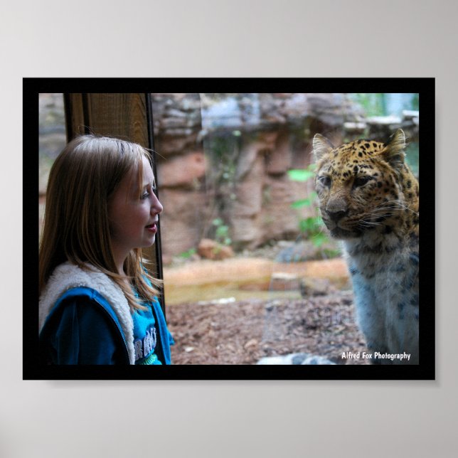Poster Retrato de Leopardo e Criança (Frente)