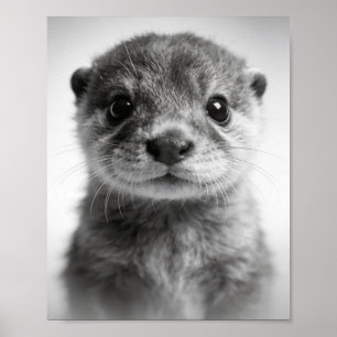 Poster Retrato de Lontra Bebê Arte para Berçário Dulce