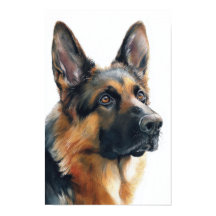 Retrato de pastor alemão em aquarela