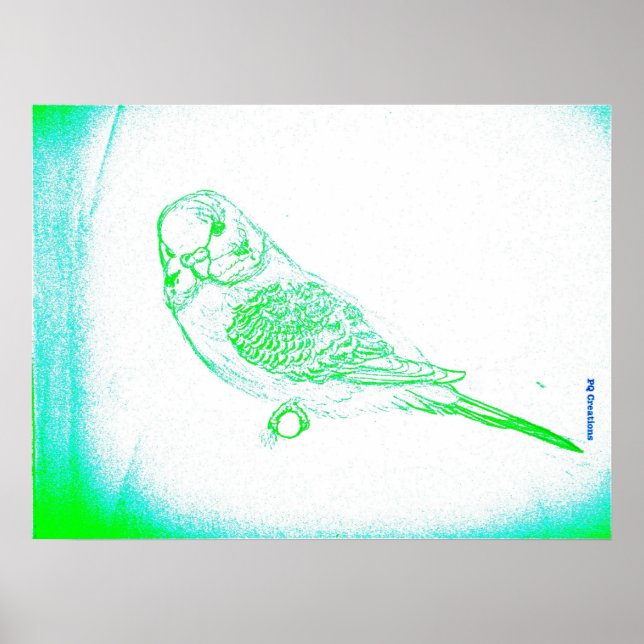 Poster Retrato de Periquito Verde (Frente)