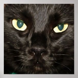 Poster Retrato de Pet Artístico Grelha de Gato Negro