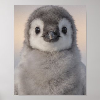 Poster Retrato de Pinguim Bebê Arte para Berçário Doce