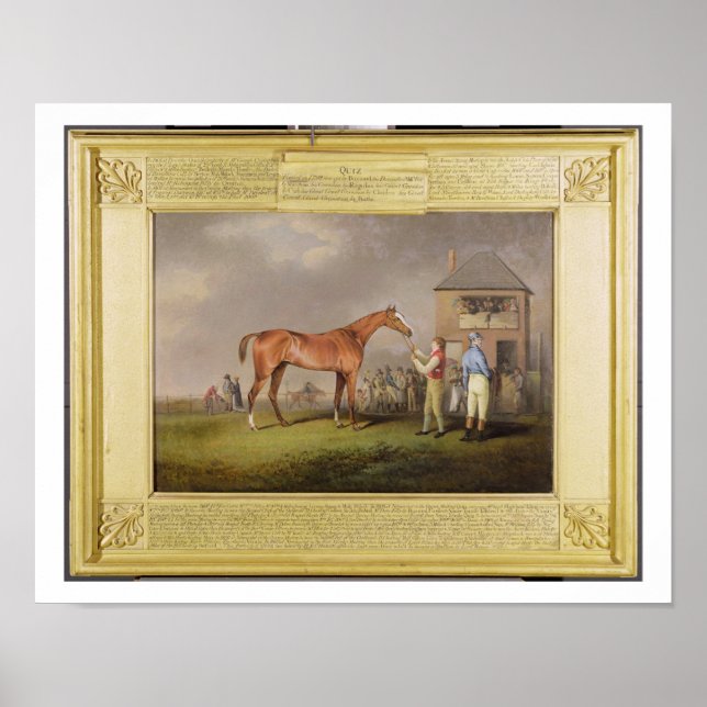 Poster Retrato de "Quiz", propriedade de Lord Rous, aft (Frente)