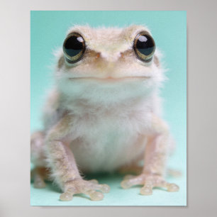Poster Retrato de Rã Bebê – Arte de Parede para Berçário