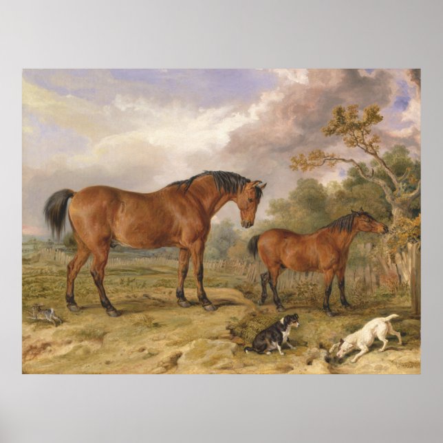 Poster Retrato de Reformador, Blucher, Tory e Crib (Frente)