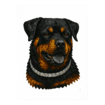 Retrato de Rottweiler em Mosaico de Pedras Precios