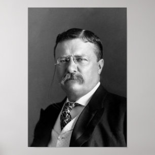 Pôster Retrato de Teddy Roosevelt - 1904