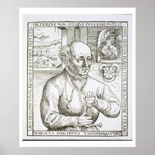 Pôster Retrato de Theothrastus Paracelsus (1493-1541), c