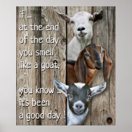 Poster Retrato de Três Caprinos - Cheiro bonito como um C