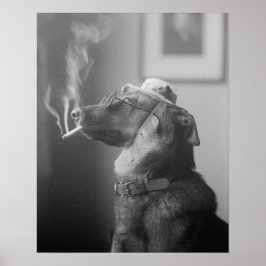 Pôster Retrato de um Cão, 1923. Foto Antiga