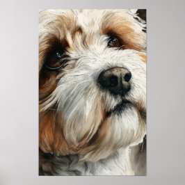 Poster Retrato de um cão shih-doodle
