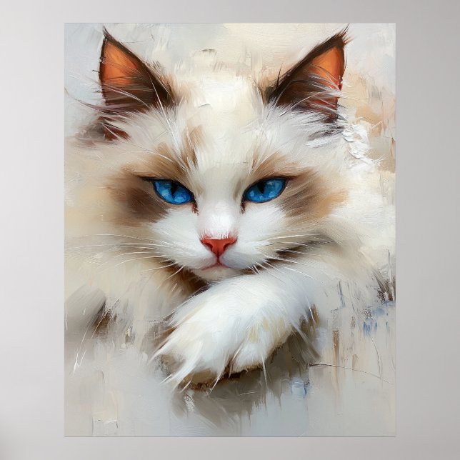 Poster Retrato de um encantador gato Ragdoll com olhos az (Frente)