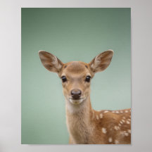 Retrato de um filhote de cervo – Parede de animais