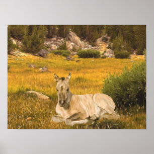 Poster Retrato de um Potro Cavalo Buckskin
