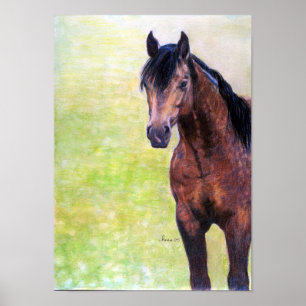 Pôster Retrato de um quarto do cavalo da cabeçada do