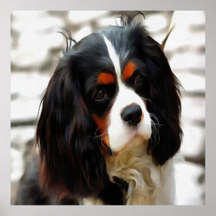 Poster Retrato De Um Rei Charles Cavalier Spaniel
