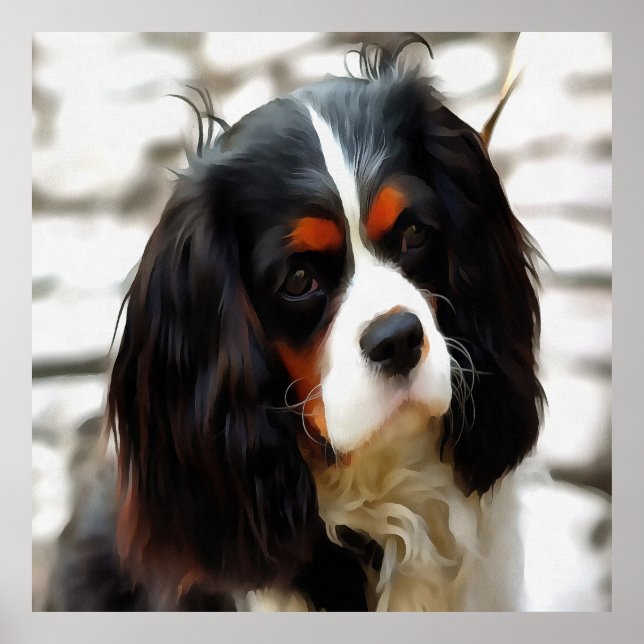 Poster Retrato De Um Rei Charles Cavalier Spaniel (Frente)