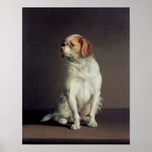 Poster Retrato de um Spaniel de rei Charles