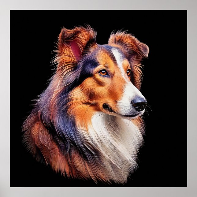 Poster Retrato de uma Collie (Frente)