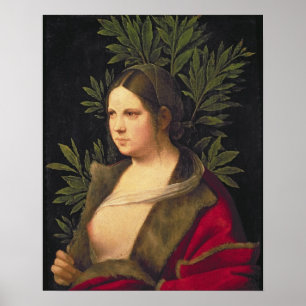 Pôster Retrato de uma jovem mulher, 1506