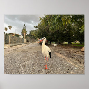 Poster Retrato de uma Tempestade