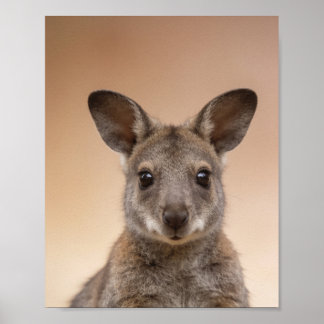 Poster Retrato de Wallaby Bebê – Parede de Animal de Berç