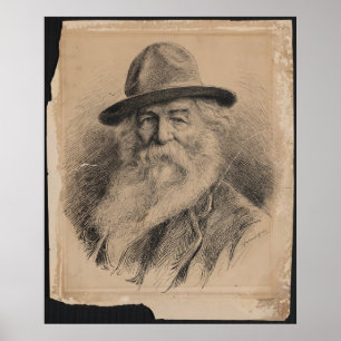 Poster Retrato de Walt Whitman do poeta pelo Valerian