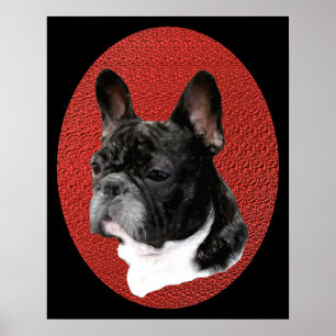 Pôster Retrato do buldogue francês