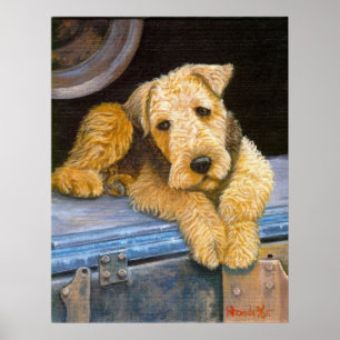 Poster Retrato do cão de Airedale Terrier