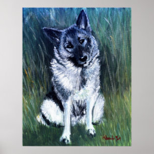 Pôster Retrato do cão de Elkhound do norueguês