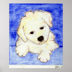 Pôster Retrato do cão de filhote de cachorro de Bichon