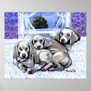 Poster Retrato do cão de filhotes de cachorro de