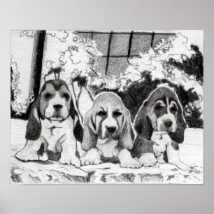 Pôster Retrato do cão de filhotes de cachorro de Basset