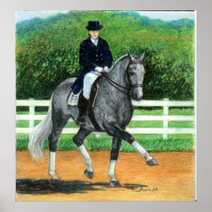 Poster Retrato do cavalo do adestramento de Warmblood do
