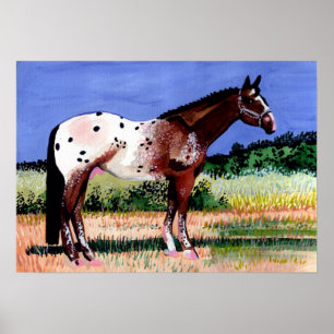 Pôster Retrato do cavalo do Appaloosa