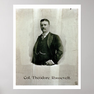 Pôster Retrato do coronel Theodore Roosevelt (litho)