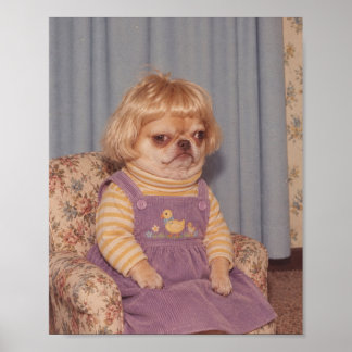 Poster Retrato do Dia de Foto Retro do Chihuahua Mal-Humo