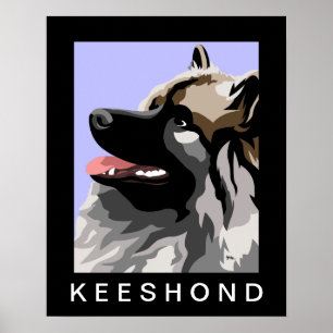 Pôster Retrato do lado de Keeshond