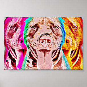 Poster Retrato do pop art do pitbull