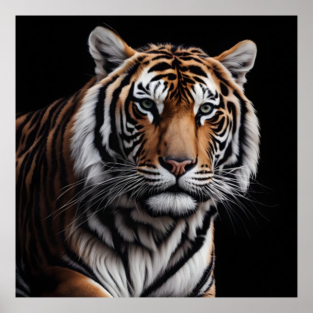 Poster Retrato do tigre (Frente)