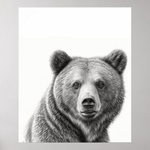 Poster Retrato do Urso Grizzly Preto branco