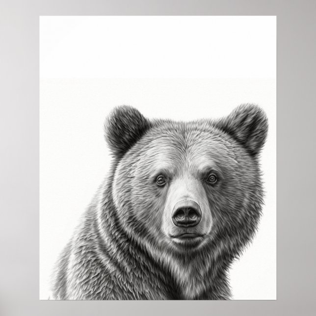 Poster Retrato do Urso Grizzly Preto branco (Frente)