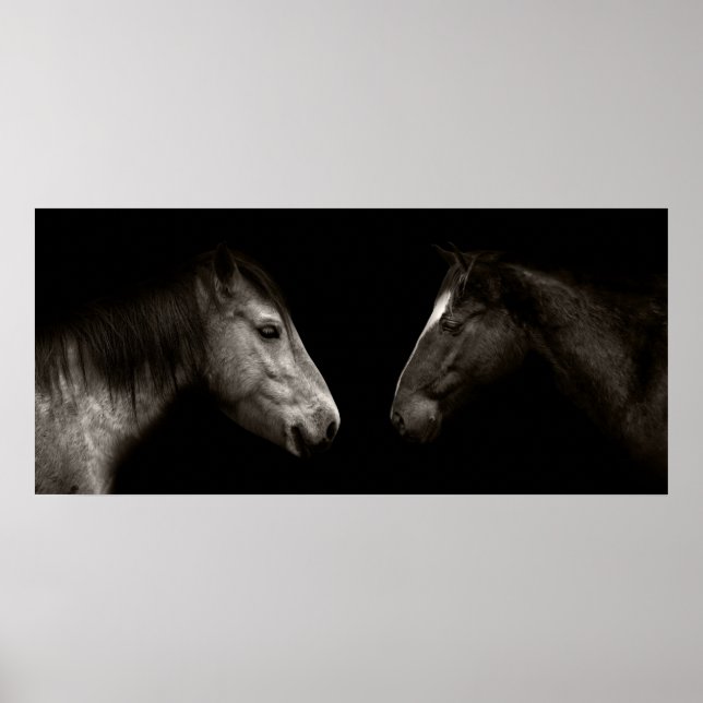 Poster Retrato dos cavalos (Frente)