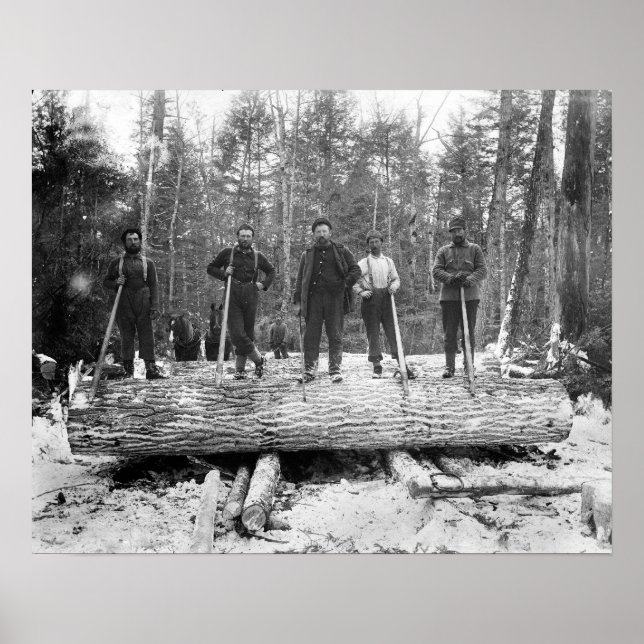 Poster Retrato dos Loggers, 1890. Vintage Photo (Frente)
