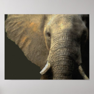 Poster Retrato Elefante