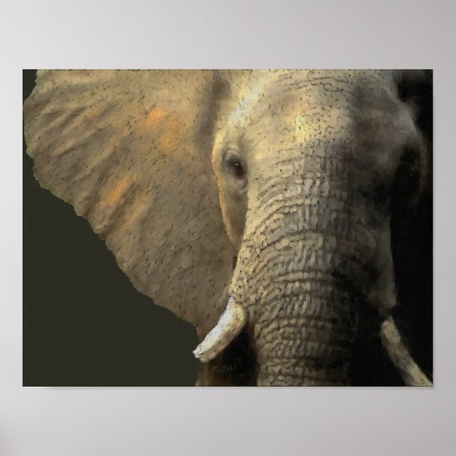 Poster Retrato Elefante (Frente)