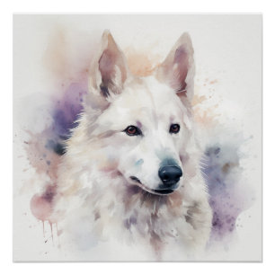 Pôster Retrato em Aquarela de Cachorro Sapsali Branco Enc